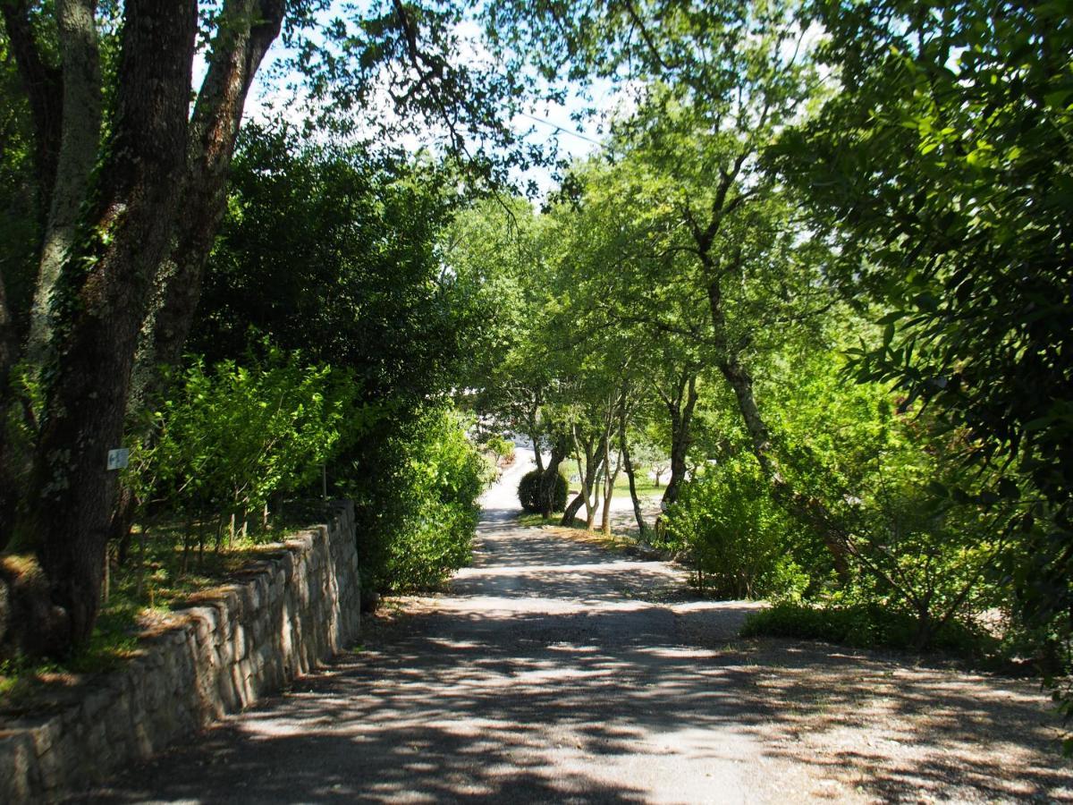 Camping Mas Du Sartre Saint Alban Auriolles Exterior foto